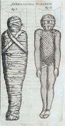 Mumien - in „Sphynx mystagoga“ von Athanase Kircher
