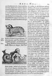 Mythische Kreaturen, 1675