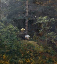 Waldinneres