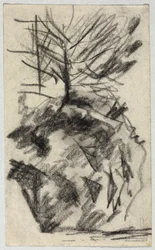 Baum am Abhang