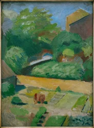 Blick in den Nachbargarten