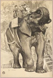 Elefant mit Reitern
