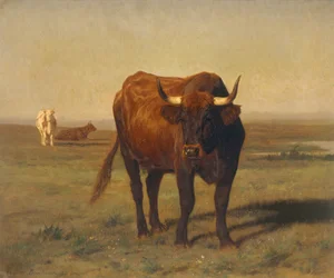 Vieh in der Landschaft