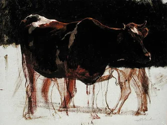 Studie von Rindern