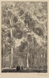 Fontainebleau-Wald: Morgen, Kreuzung der Route der Forts de Marlotte (La Forêt de Fontainebleau: Le Matin, Carrefour des Fort de Marlotte)