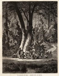 Das Pflücken von Syri oder Betel, dessen mit Kalk beschichtetes Blatt für die Herstellung von lokalem Chic unerlässlich ist. Zeichnung von M. de Molins, zur Illustration seiner Reise nach Java