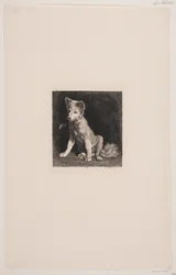 Der Hund und die Biene