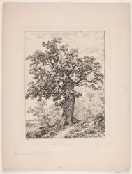 Niels Ebbesens Eiche. Gyllingnæs Wald