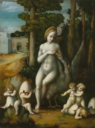 Leda und der Schwan