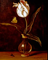 Eine einzelne Tulpe in einer Vase