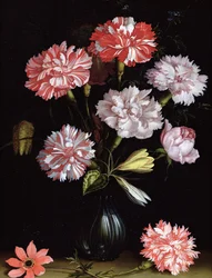Blumenstudie: Nelken in einer Vase