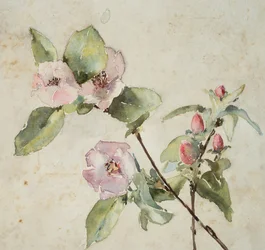 Zweige mit rosa Blumen