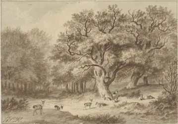 Waldlandschaft mit Hirschen