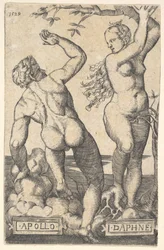 Apollo und Daphne, umgekehrte Kopie, n.d.