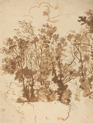 Landschaftsstudie