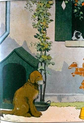 Hund, Illustration aus 