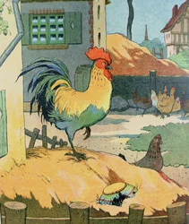 Der Hahn, Illustration aus „Le Buffon de Benjamin Rabier“, nach Georges de Buffons „Histoire Naturelle“ (1707-88)