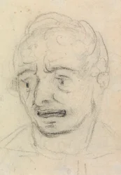 Porträtstudie eines Gesichtsausdrucks