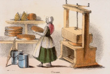 Käse, ca. 1845