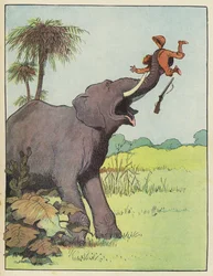 Elefant greift einen Jäger an