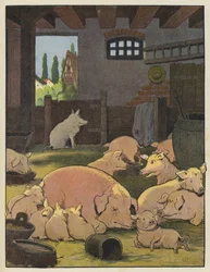 Schweine im Schweinestall