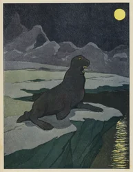 Seelöwe