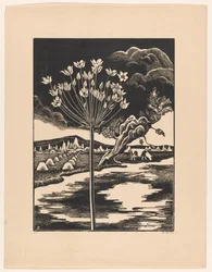 Schwanenblume in einer Landschaft