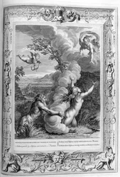 Arethusa