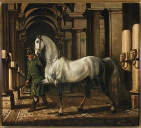 Stalljunge, der ein Pferd führt