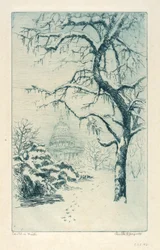 Kapitol im Winter