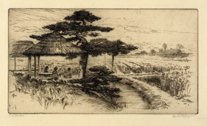 Irisgarten