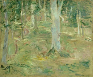 Wald von Compiègne