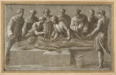 Sechs Anatomiaprofessoren, die eine gehäutete männliche Leiche sezieren (Feder & braune Tinte mit brauner Waschung und Aufhellung)