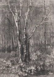 Wald im Park bei Monza, 1895