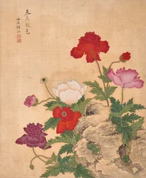 Album der Blumen (Tinte und Farbe auf Seide)