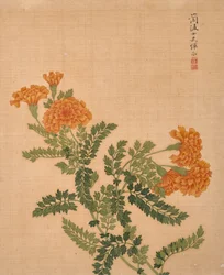 Album der Blumen (Tinte und Farbe auf Seide)