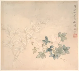Blumenstudie