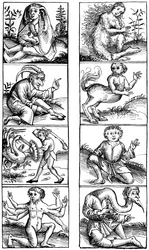 Glauben und Volksaberglauben, 1493 1849