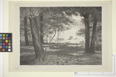 Waldrand