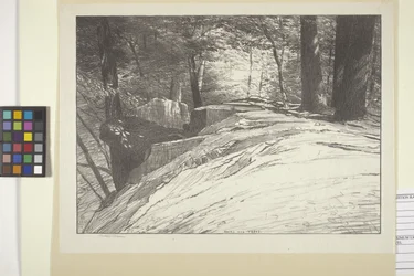 Felsen und Bäume