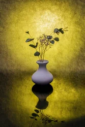 Goldene florale Spiegelung