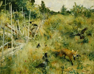Ein Fuchs fängt eine Krähe