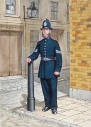 Ein Sergeant von 1865