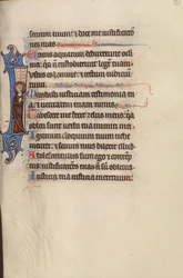 Initiale I: Ein Heiliger