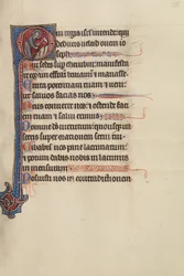 Initial O: Gott pflegt den Weinberg
