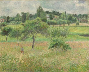 Apfelbäume in Éragny