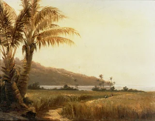 Kokospalmen am Meer, Saint Thomas, Antillen