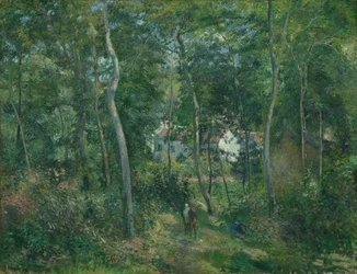 Waldrand in der Nähe von L