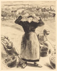 Kartoffelernte Recolte de pommes de terre, 1886