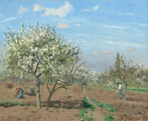 Obstgarten in Blüte, Louveciennes